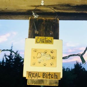 R-Rated Trendy & Humorous Decorative RockArt